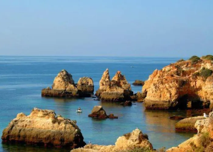 Encantador A 100m Da Διαμέρισμα