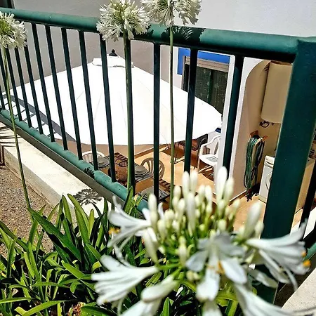 Appartamento Encantador A 100m Da Carvoeiro (Lagoa)