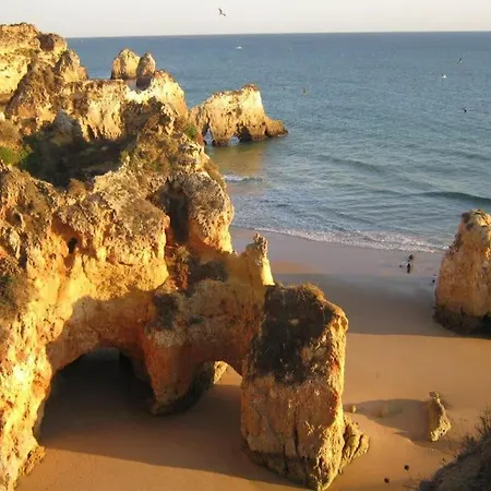 Encantador A 100m Da