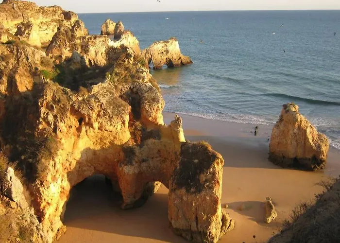 Encantador A 100m Da